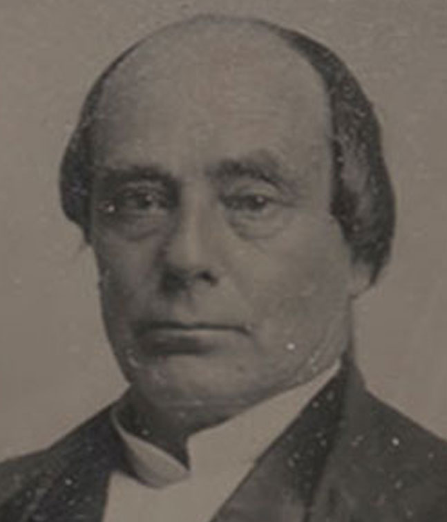 Daniel ster The Kaplan Collection