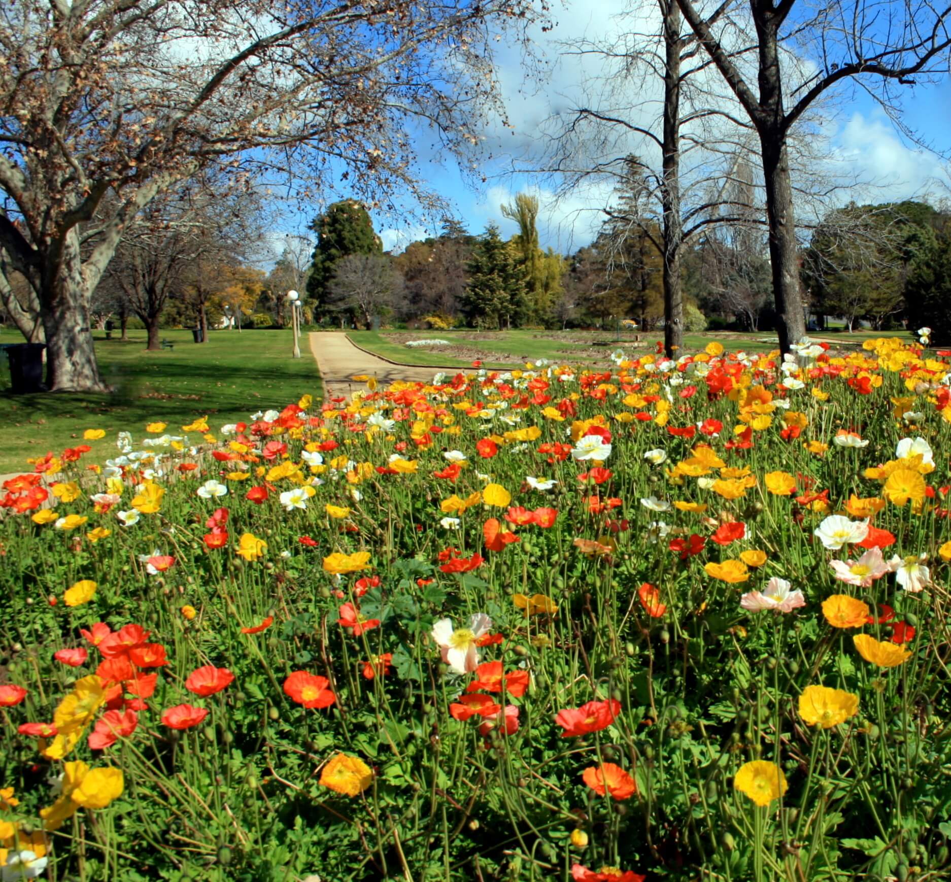 Wagga Wagga Botanic Gardens Kapooka March Out Guide
