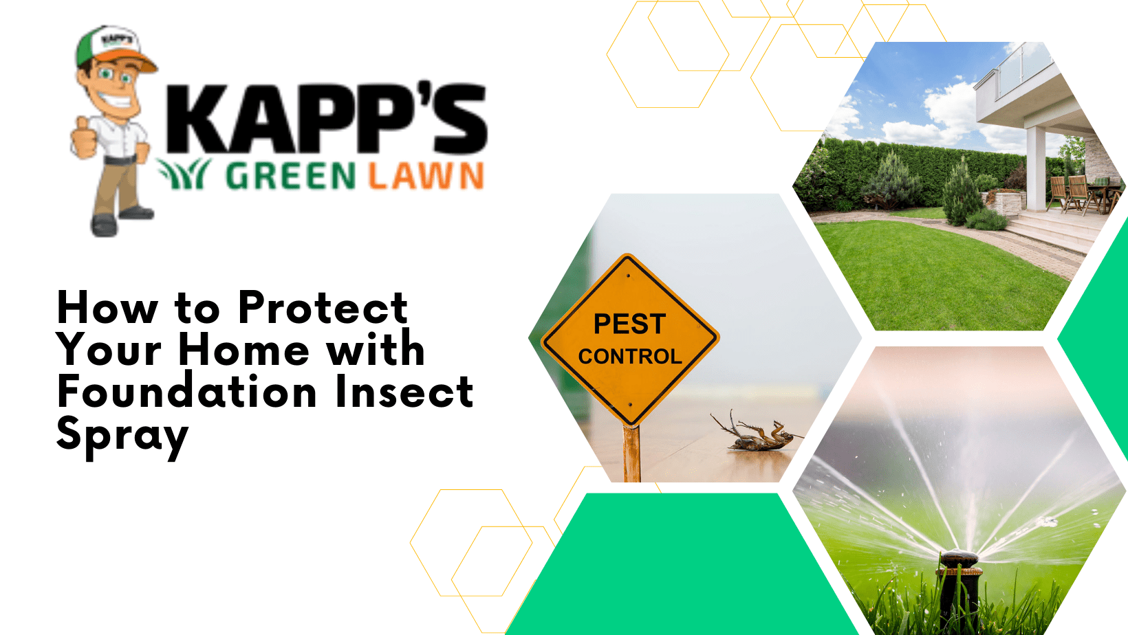 Foundation Insect Spray Safeguard Your Home from Pests