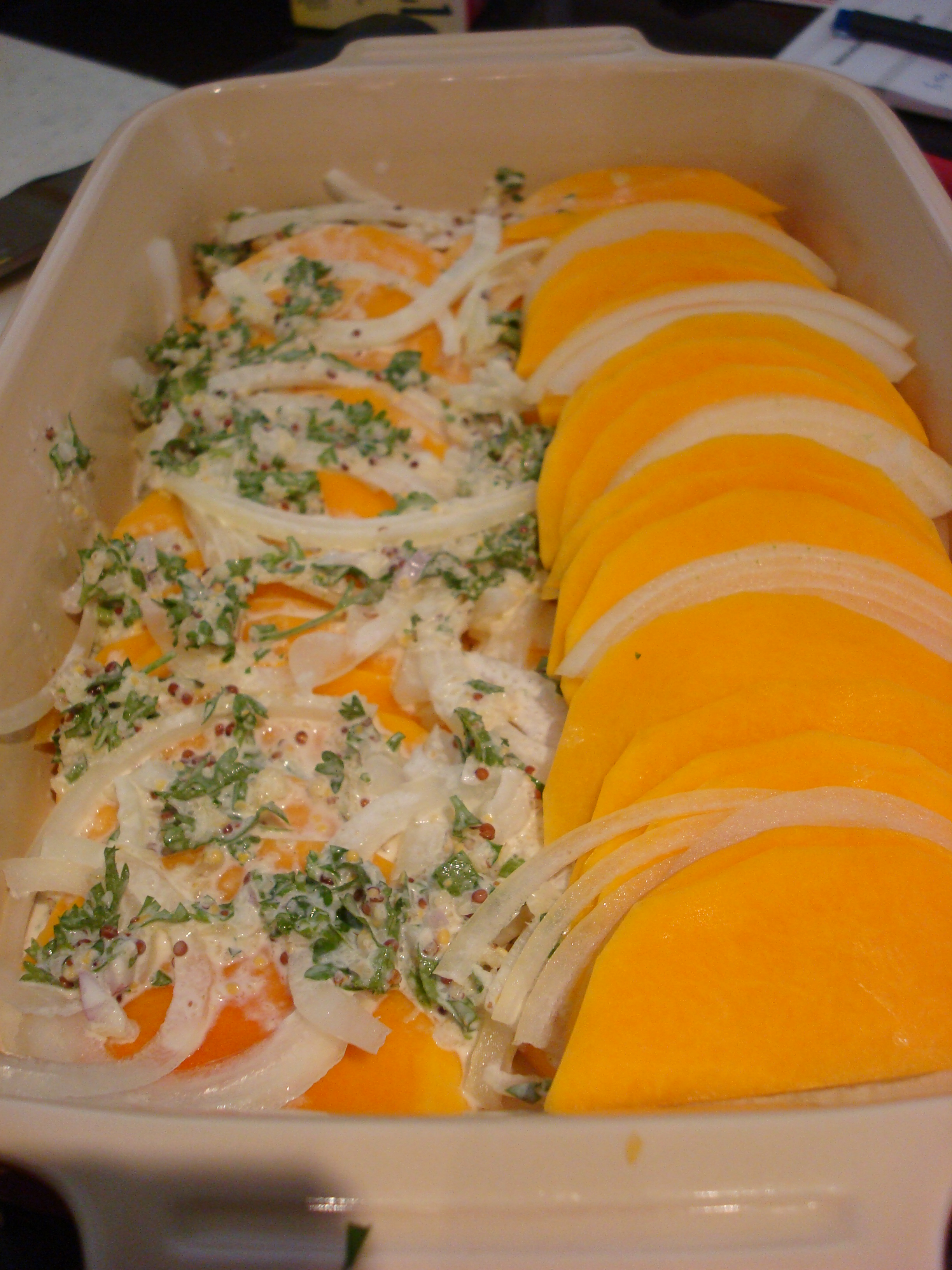 Butternut Squash and Onion Gratin Kaprise!