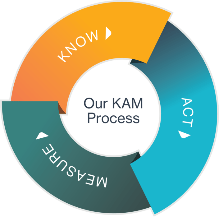 KAM Methodology | Kapta