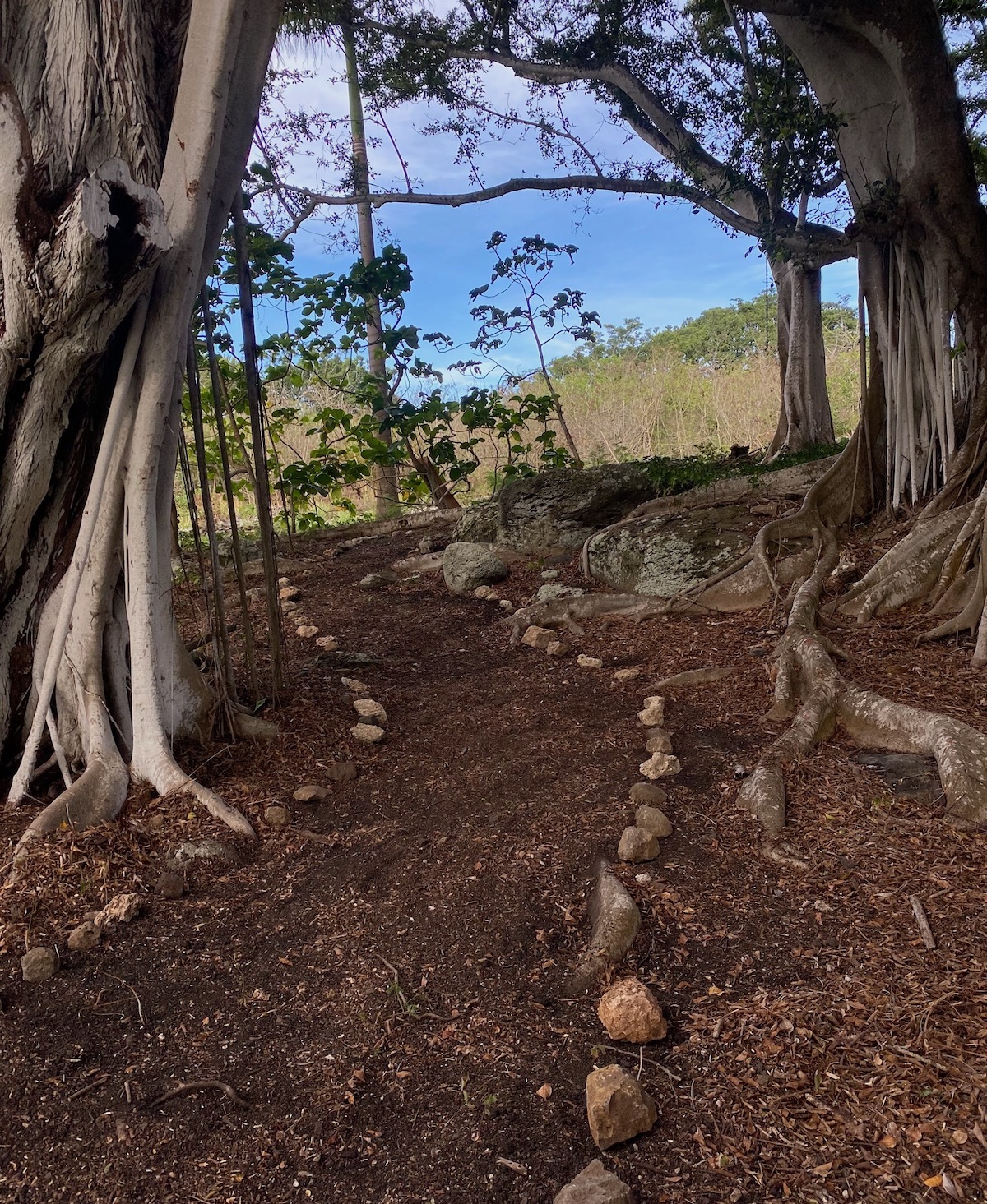 Event Venue Kapunaiki Aina Farms