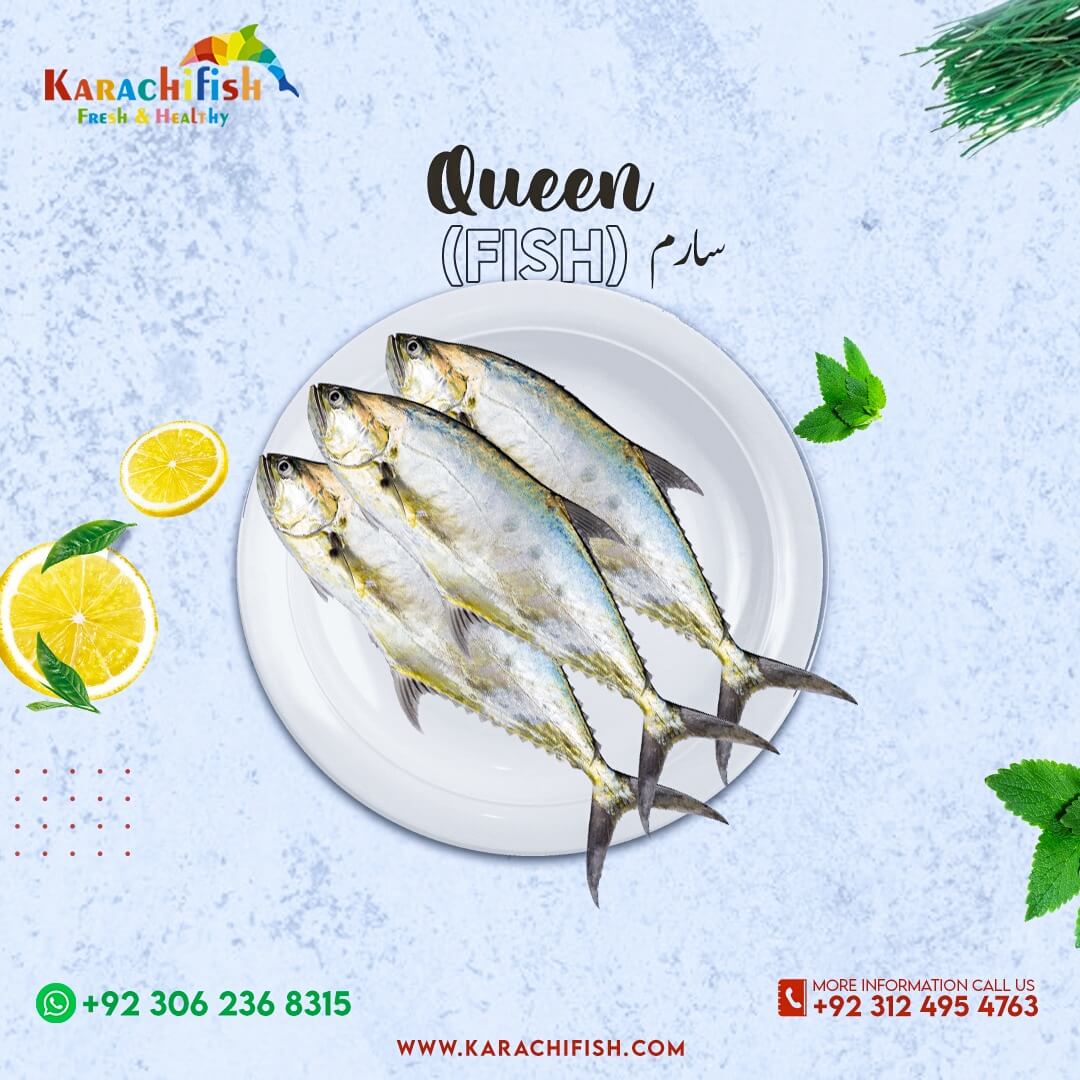 Queen Karachi Fish