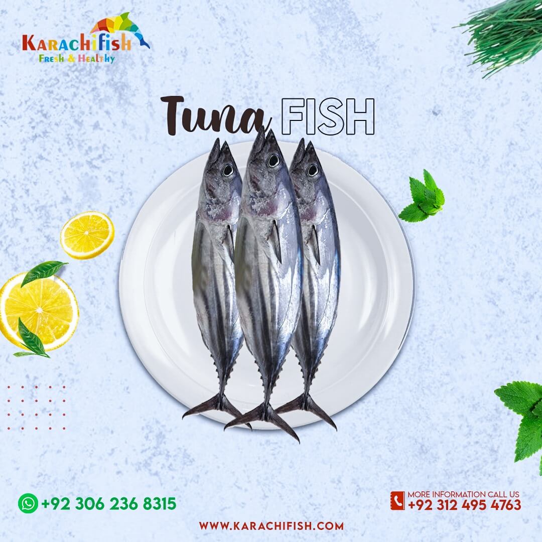 Tuna Fish (Biscuit Form) Karachi Fish