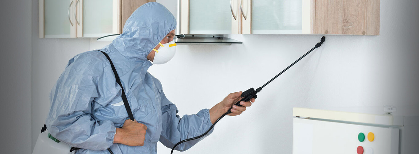 Karachi Pest Control Fumigation Services In Karachi karachipestcontrol