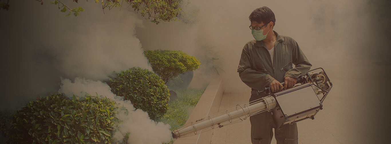 Karachi Pest Control Fumigation Services In Karachi karachipestcontrol