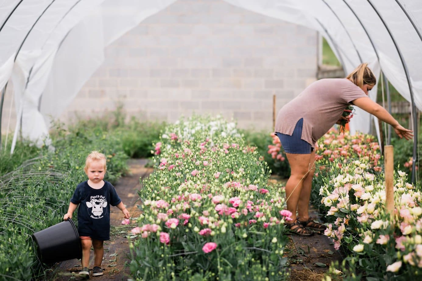 Best Wishes Flowers Blacksburg Va Best Flower Site