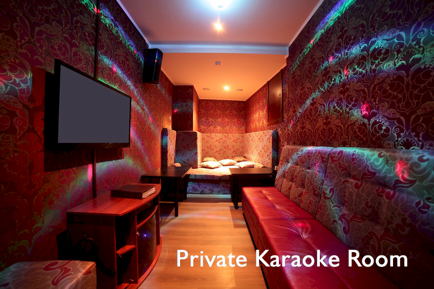 Karaokesysteem voor uw bedrijf of een karaoke private room realiseren?
