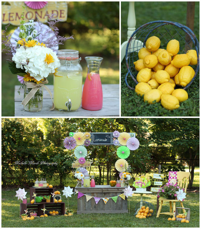 Kara's Party Ideas Lemonade Stand Party Kara's Party Ideas