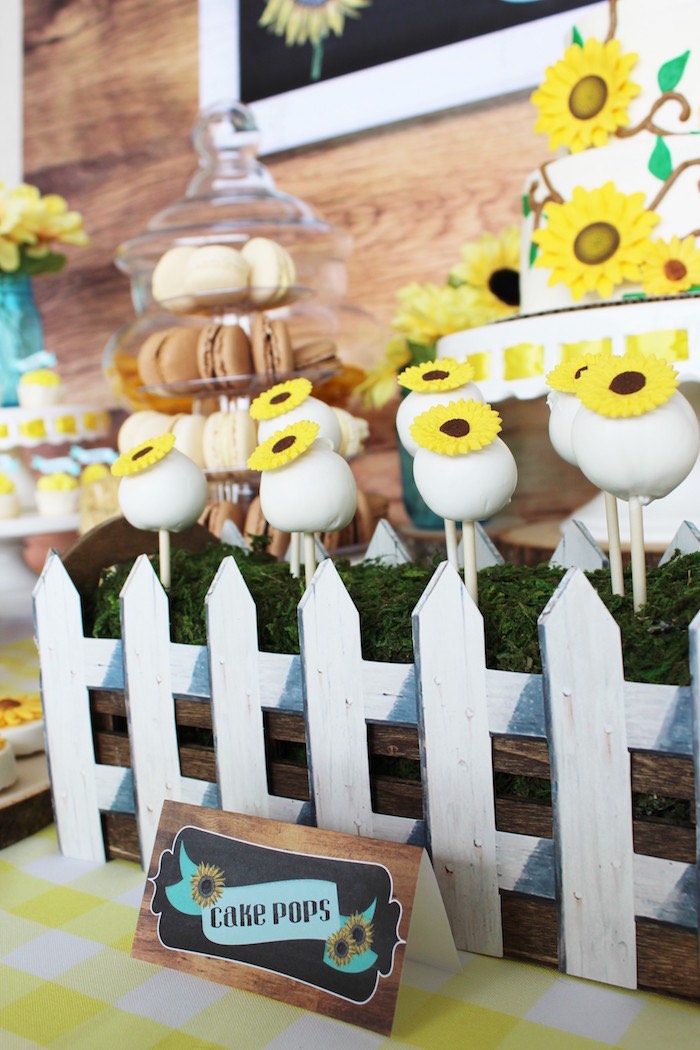 Kara's Party Ideas Country Fair Graduation Party Kara's Party Ideas