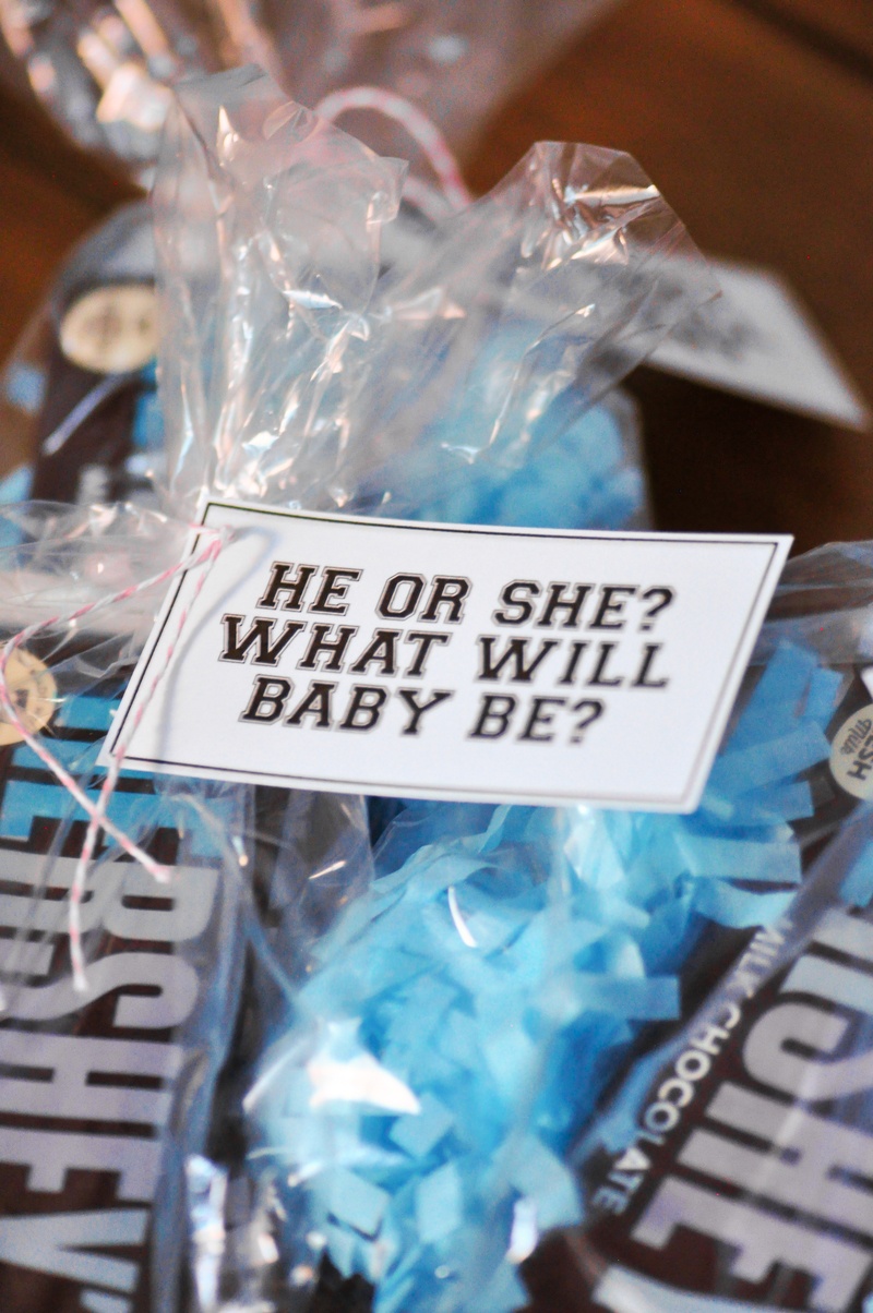 Kara's Party Ideas He or She Chocolate Bar Party Favors Kara's Party