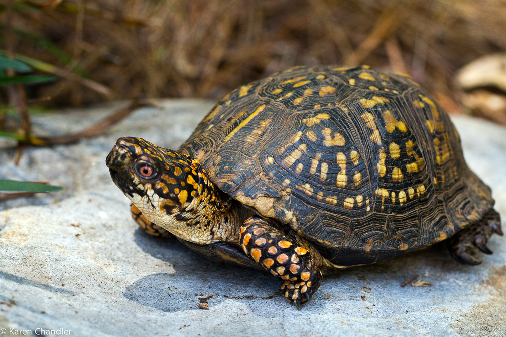Baby girl stuff for sale philippines sulit, care of baby eastern box