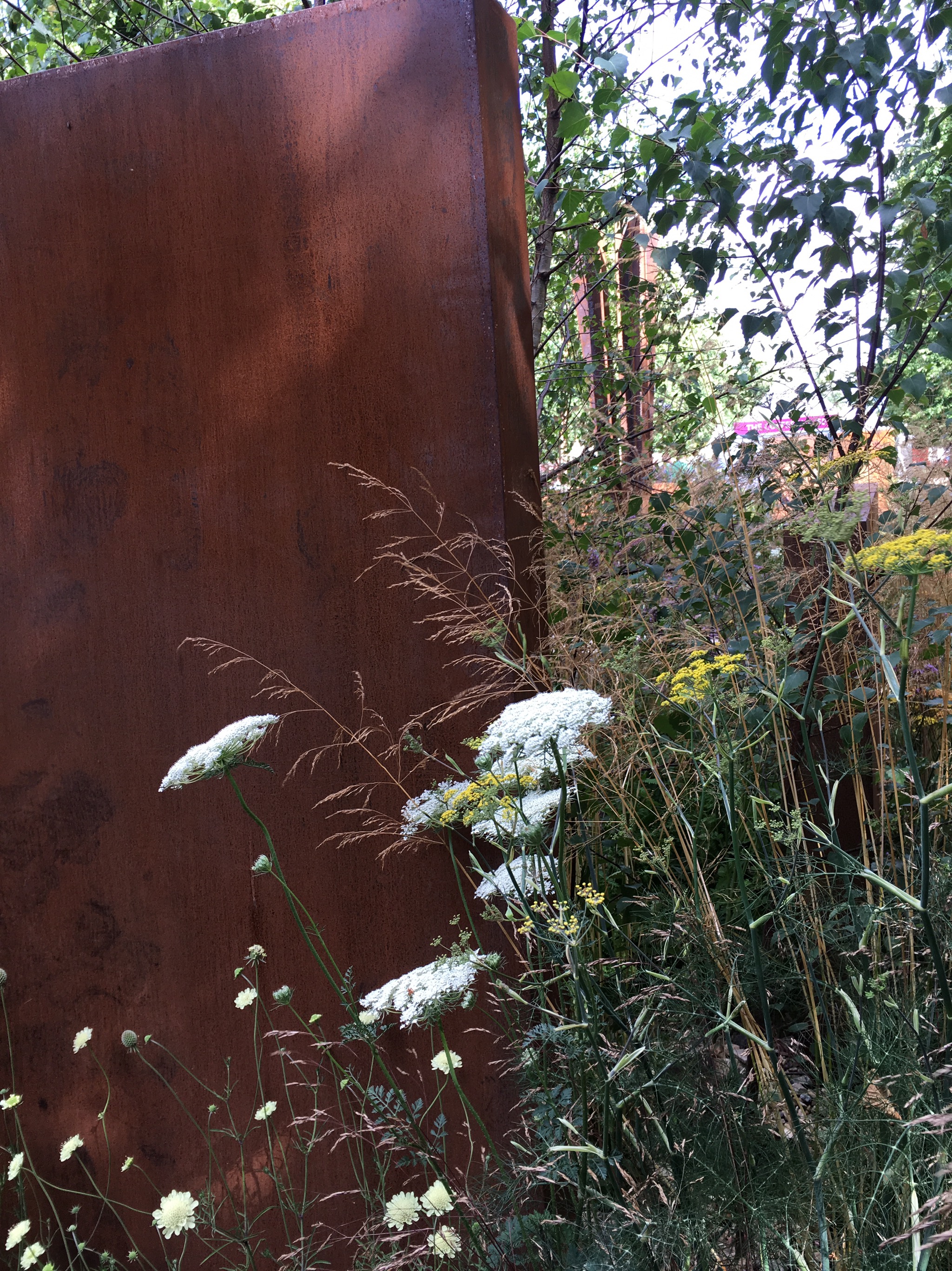 Brownfield Metamorphosis at Hampton Court Flower Show Bramble Garden
