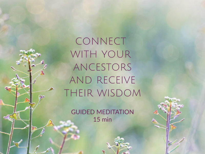 Connect With Your Ancestors & Receive Their Wisdom Karina Ladet