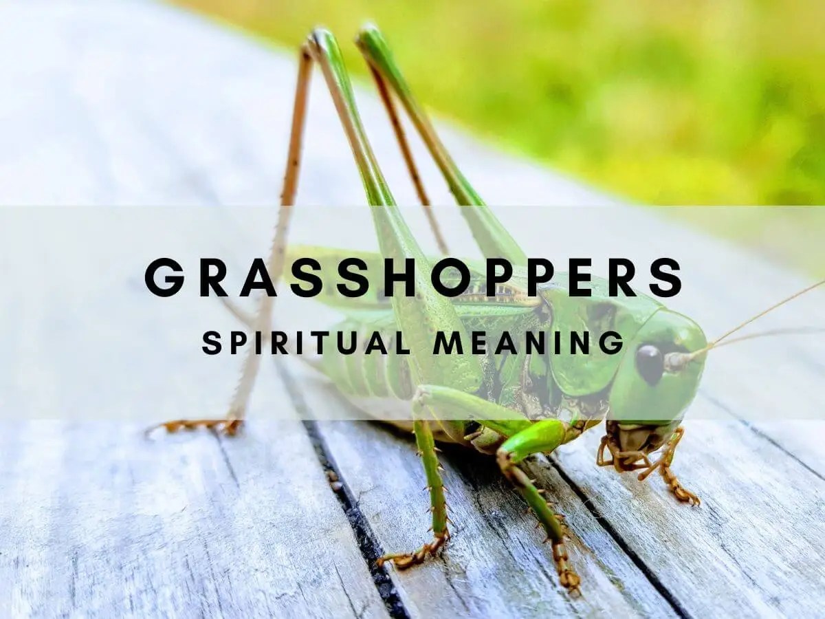 Spiritual Meaning of Symbolism