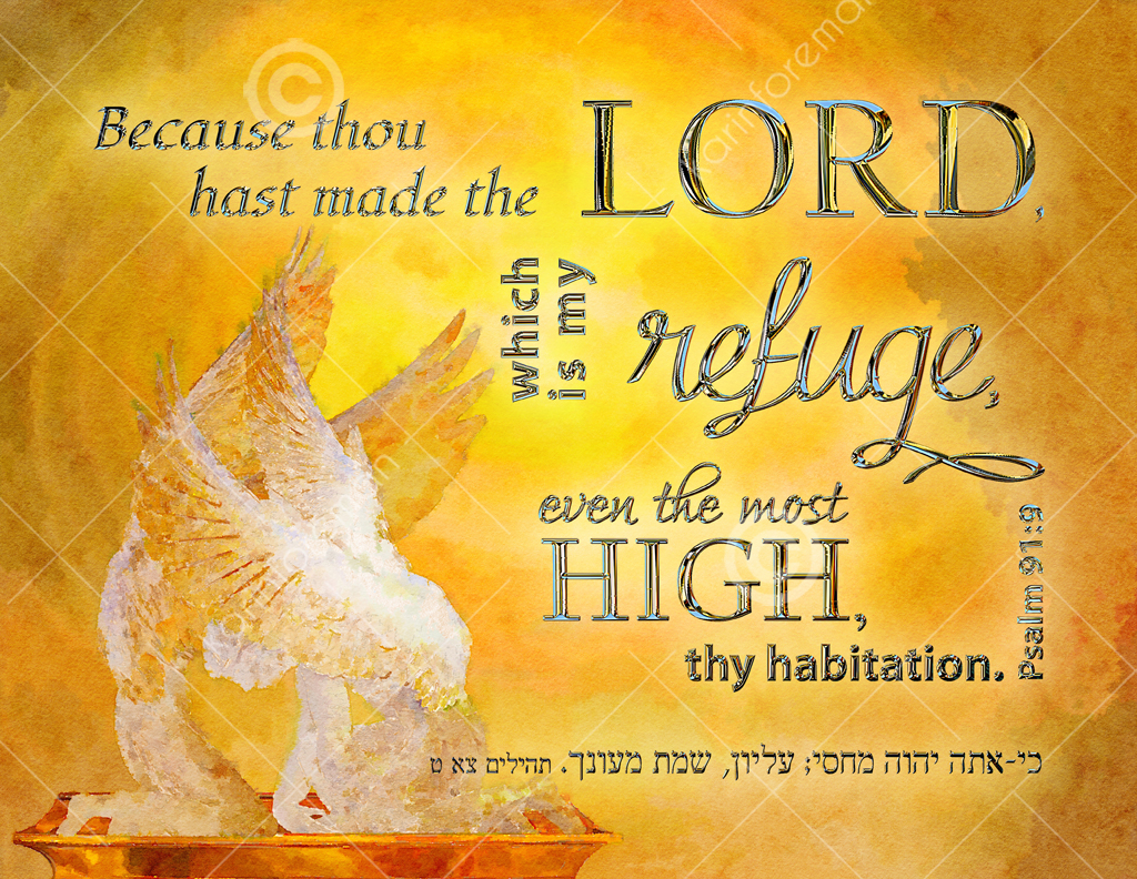 Psalm 919 with Scripture