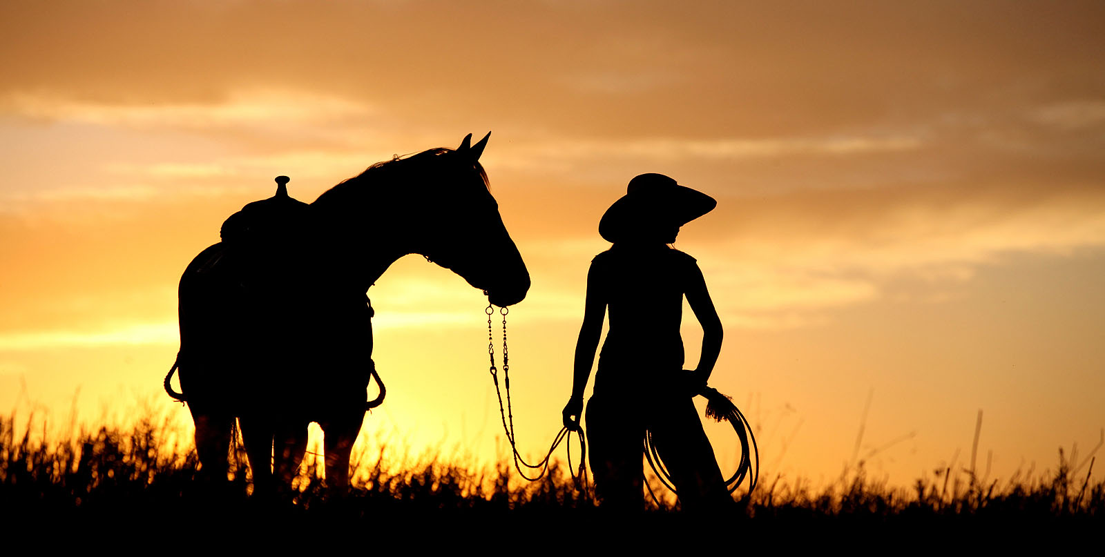 Temecula Luxury Homes & Horse Properties