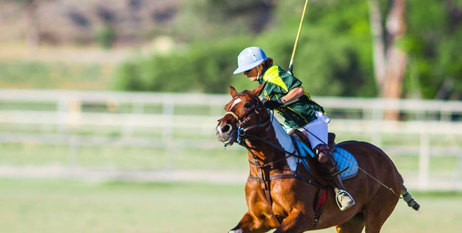 Temecula Luxury Homes & Horse Properties