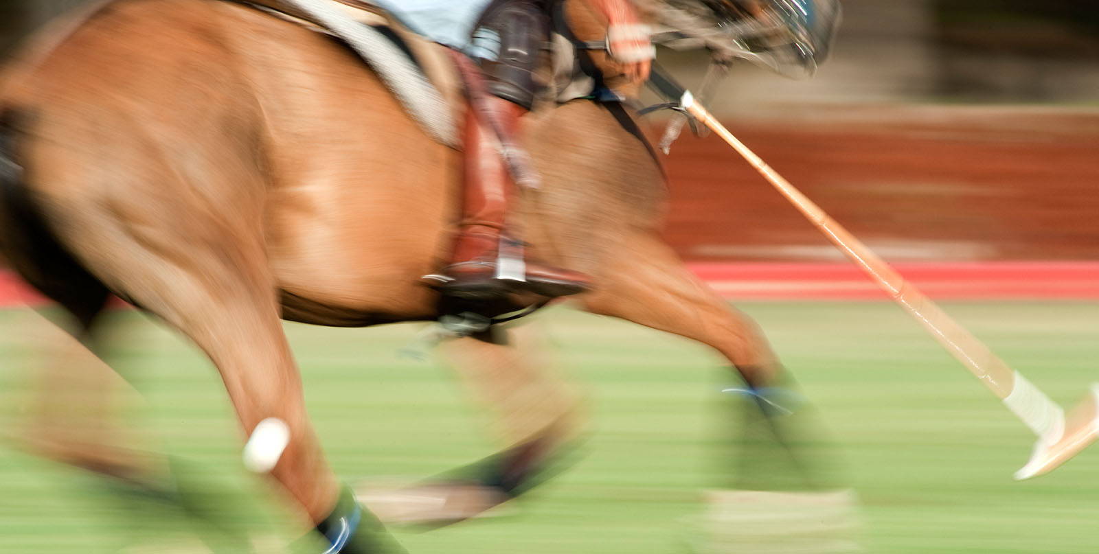 Temecula Luxury Homes & Horse Properties