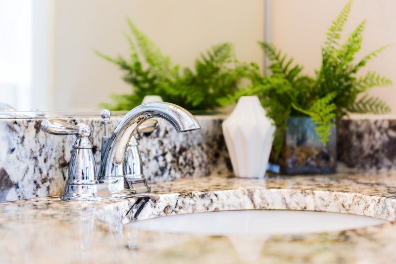 The Best Plants to Put in Your Bathroom KC Interior Designer