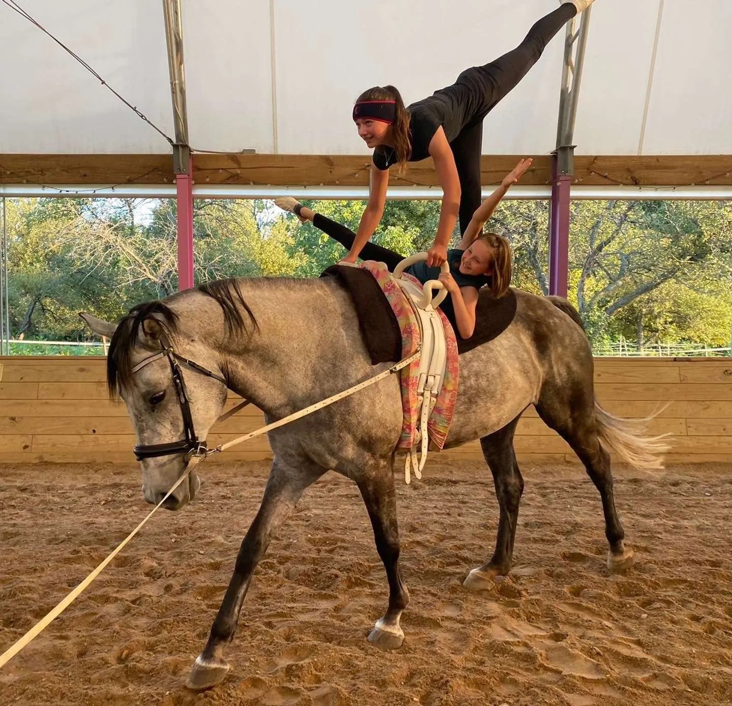 Vaulting Legacy Stables & Karin's Horse Connection