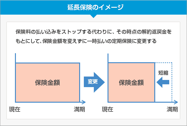 生命保険を継続するための制度、見直し【FP3級勉強】 QlN’s QualificatioN's