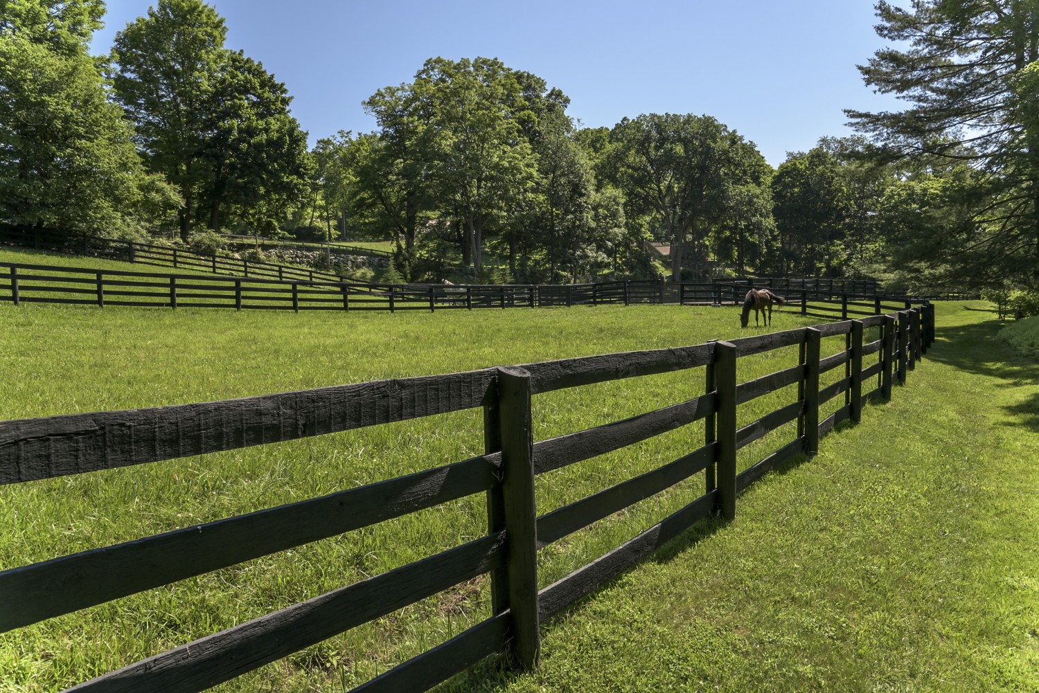 The Equestrian Life Karla Murtaugh Realtor in Ridgefield CT