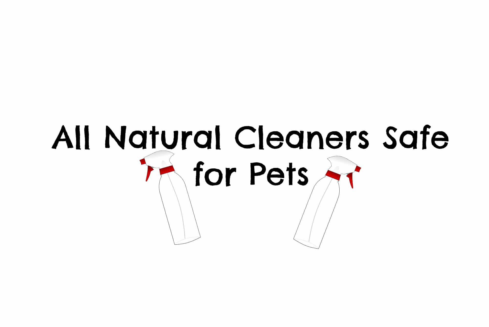 All Natural Cleaners Safe for Pets Tips from Karla's Pet Care
