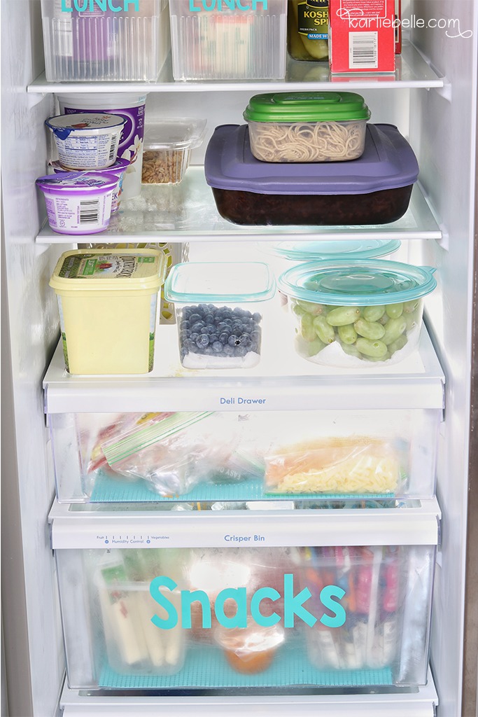 How to Make your own Produce Saver Containers for Cheap Karlie Belle