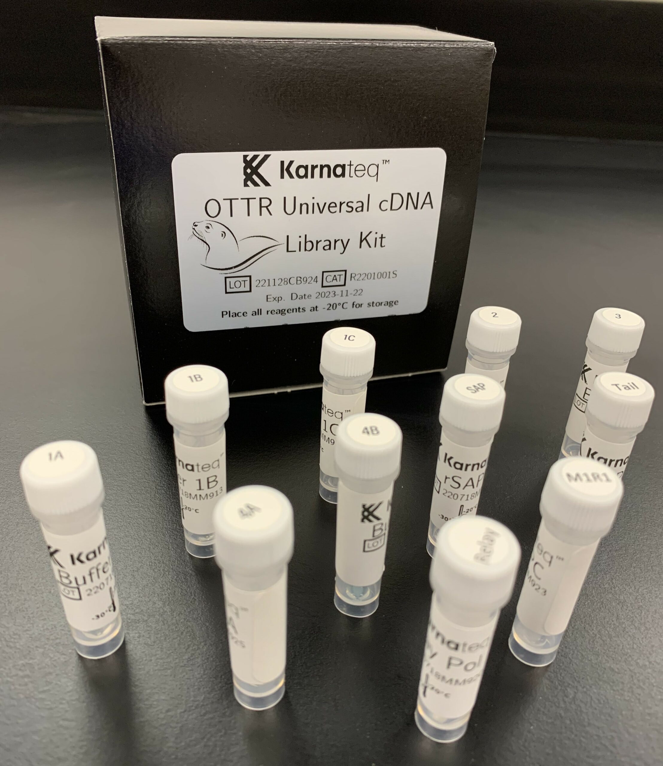OTTR cDNA library construction kit (24 reactions) Karnateq RNA