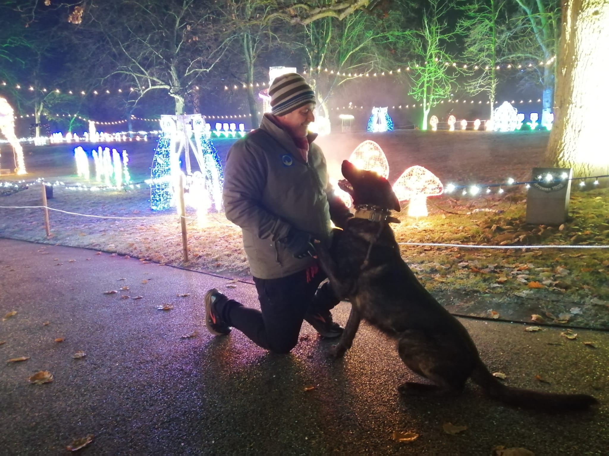 Support for HighPerformance Dogs Karnlea