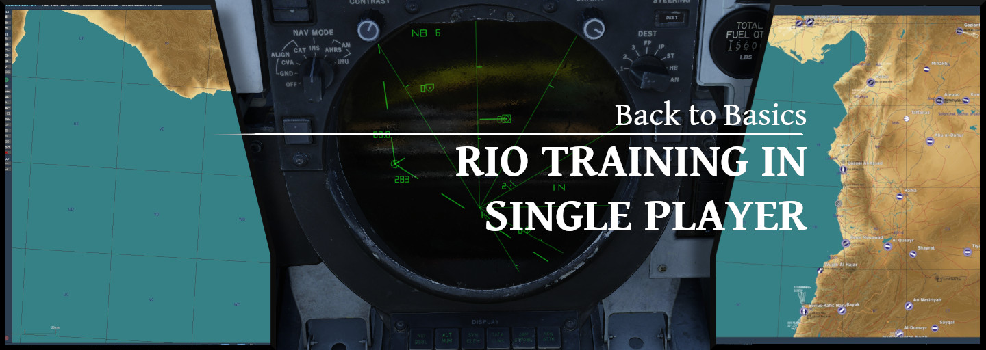 Back to Basics RIO Training in Single Player FlyAndWire