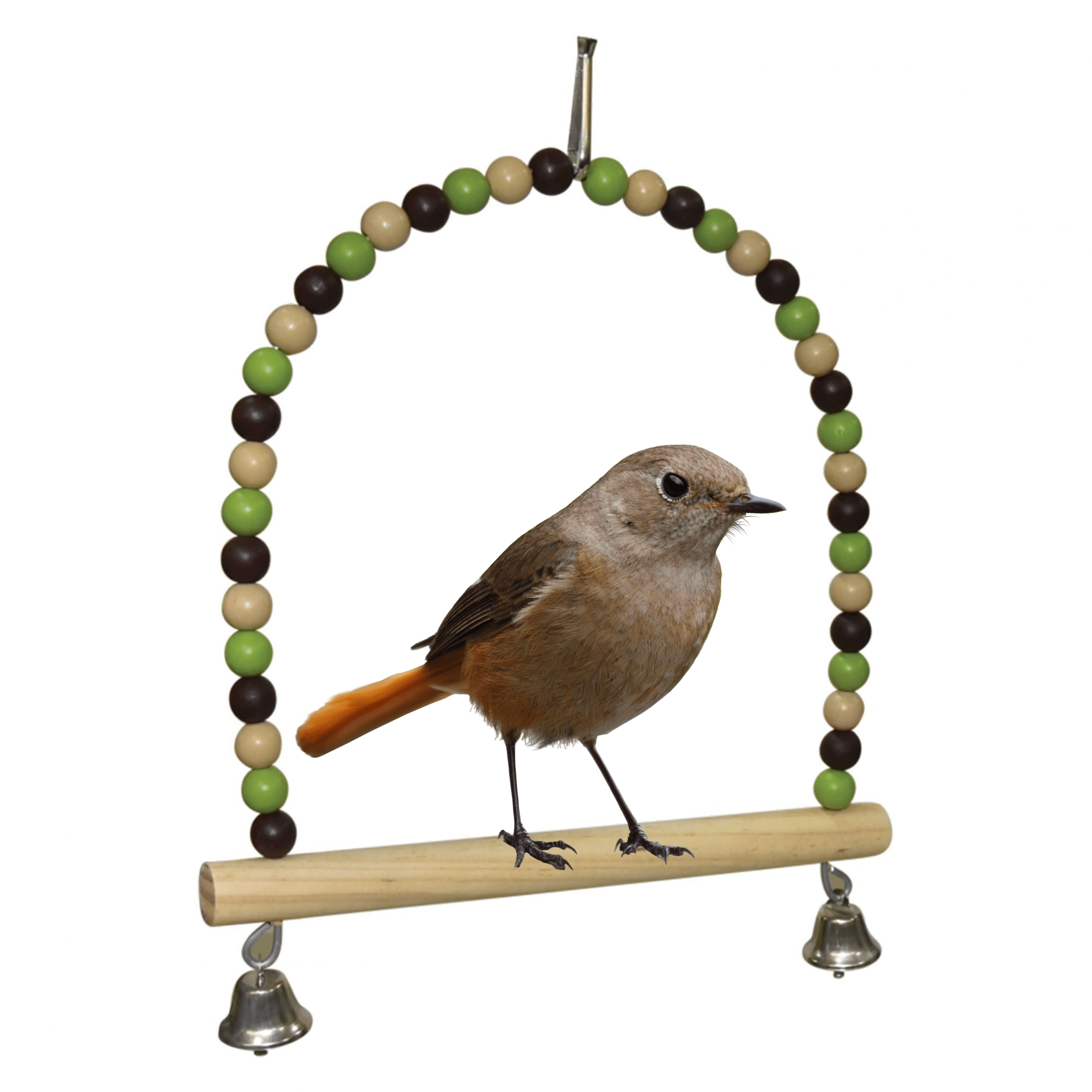 Parrots’ Cage Swing (22 cm) KaroutExpress