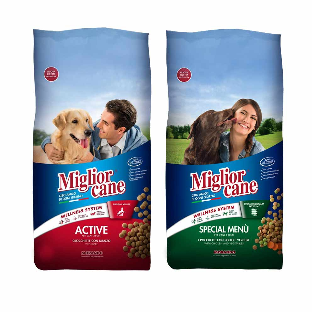 Are Dry Fruits Good For Dogs