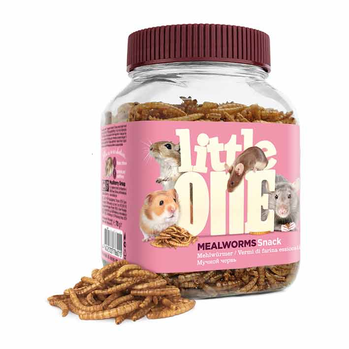 Little One Rat Mouse Mice Guinea Pig Hamster Snack Mealworms