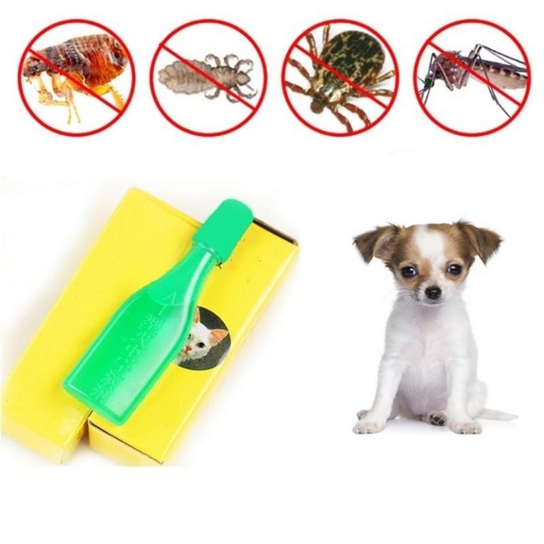 Insecticide Antiparasitic Agent For Dogs and Cats, Against Fleas