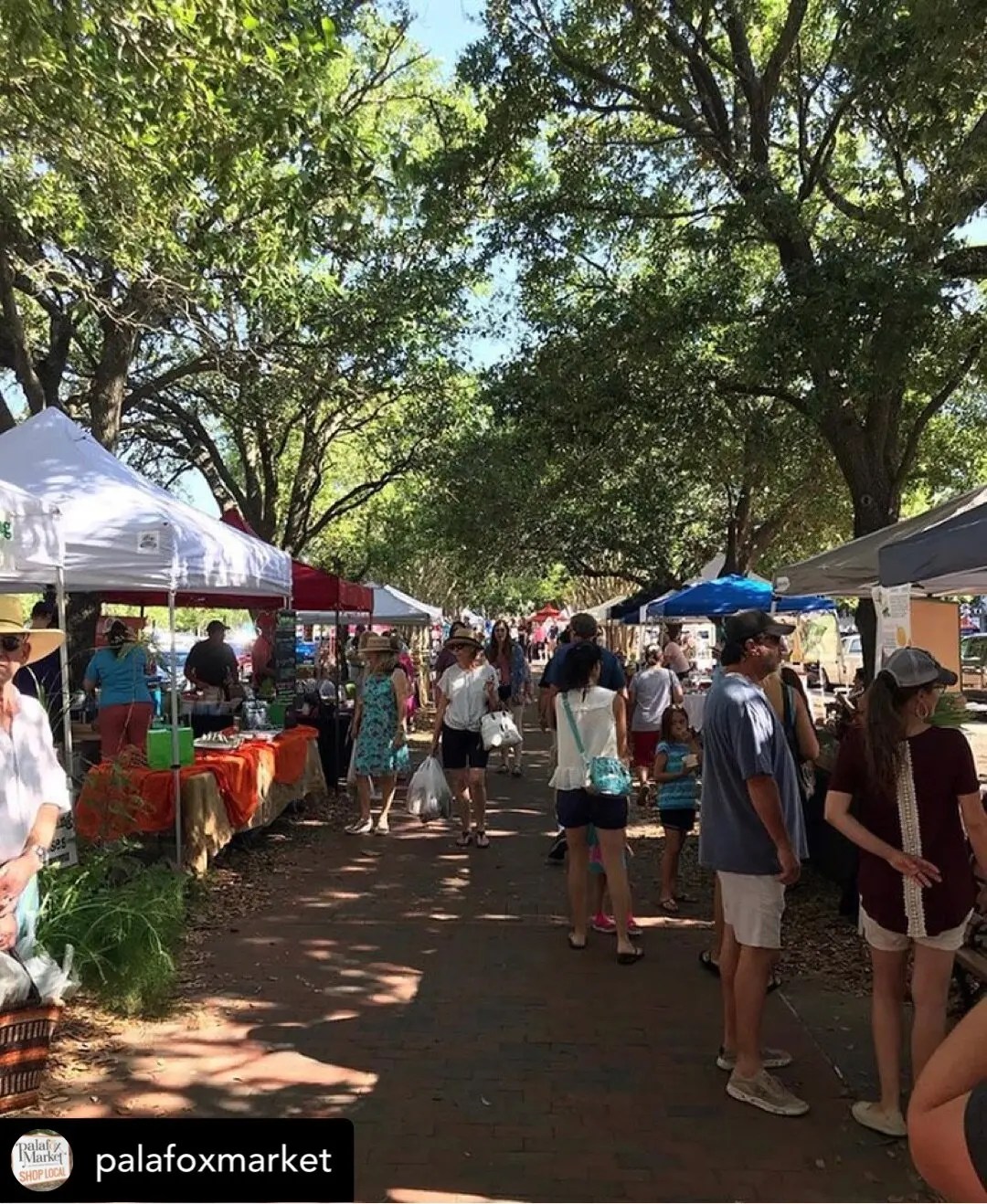 11 Fun and Cheap Things To Do In Pensacola, Florida Karta