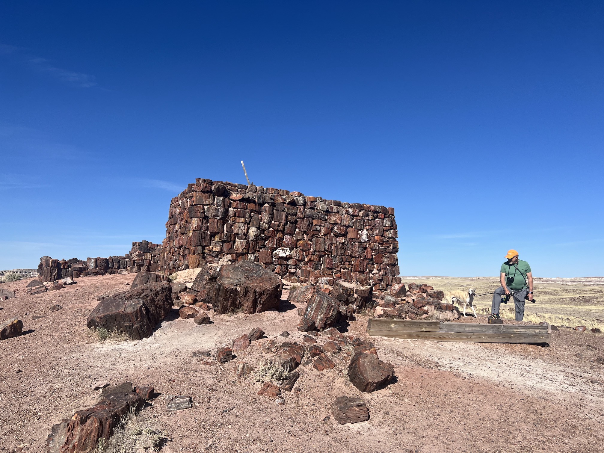 Albuquerque, NM to Holbrook, AZ / Holbrook, AZ day thirteen and