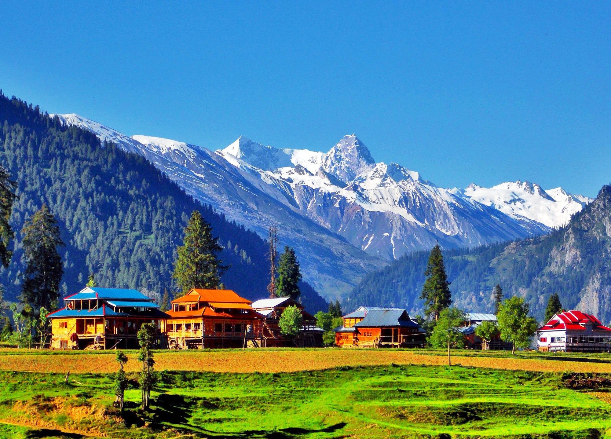 7N8D Splendid Kashmir (Srinagar, Sonamarg, Gulmarg, Pahalgam