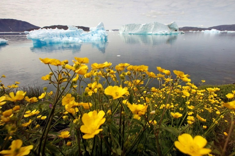 Earth’s ‘Vital Signs’ Worsening as Humanity’s Impact Deepens Kashmir