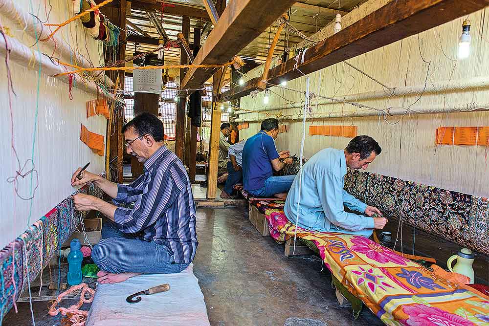 Kashmiri Kaleen Kashmir RootStock