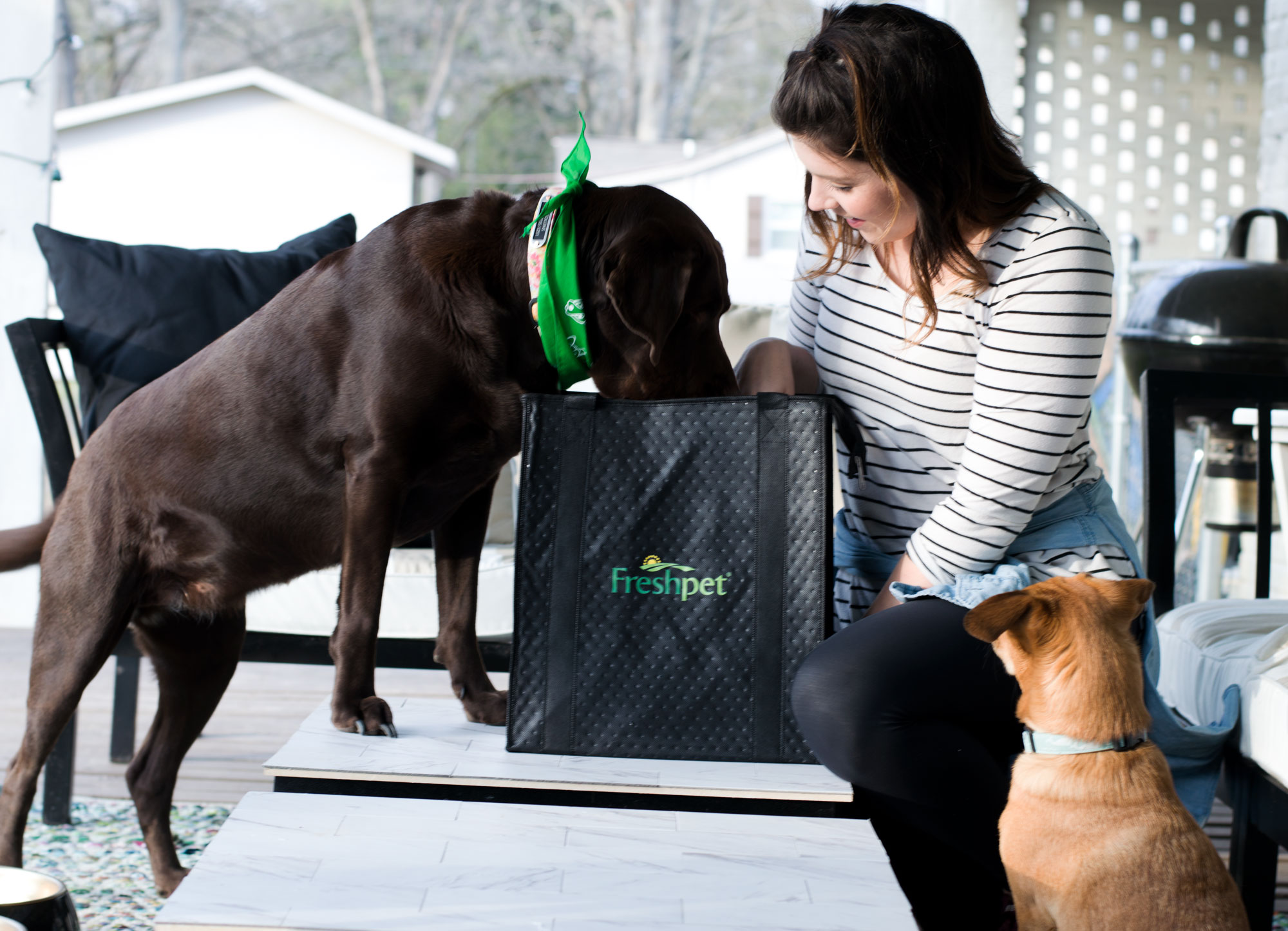 Healthy & Happy with Freshpet Kassy On Design