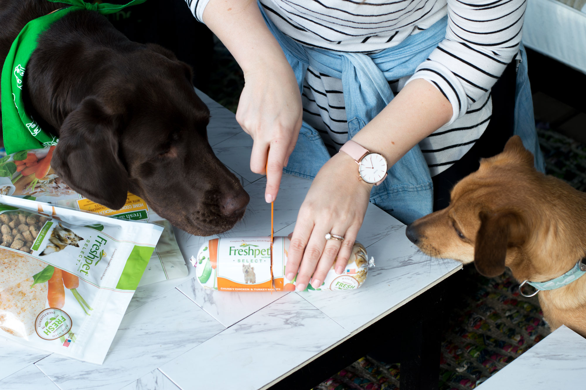 Healthy & Happy with Freshpet Kassy On Design