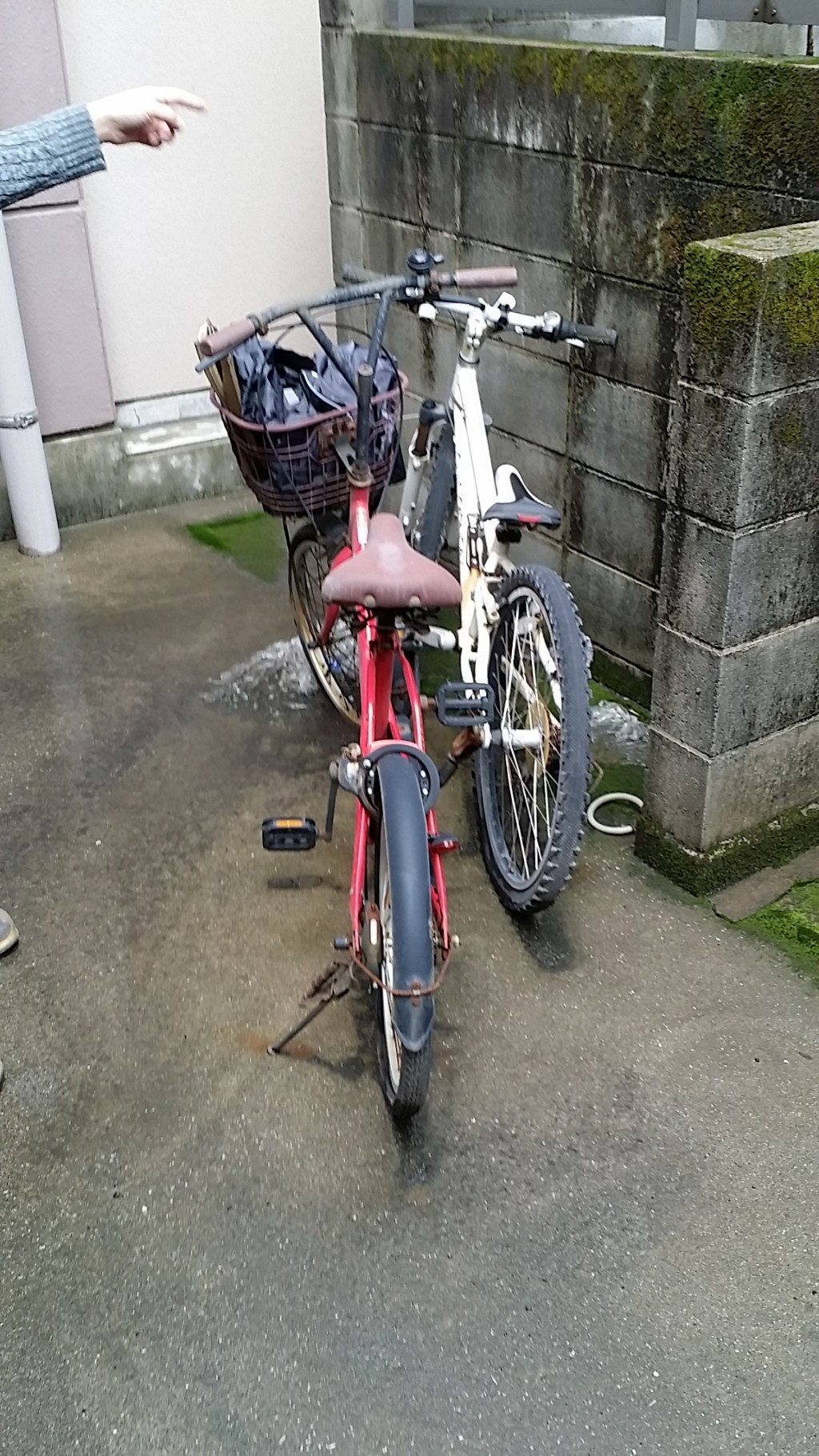 9+ 鹿児島 自転車 Article