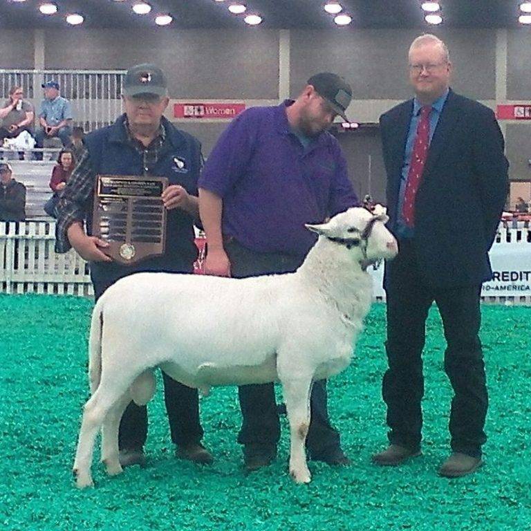 2021 NAILE Katahdin Show Results by Katahdin Hair Sheep International
