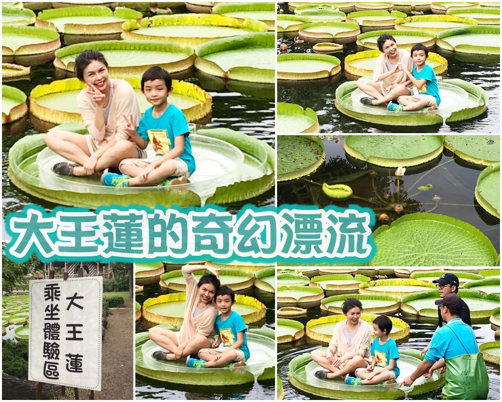 藏身雙溪公園的 大王蓮奇幻漂流 |  同場加映 新兒童樂園嗨翻天