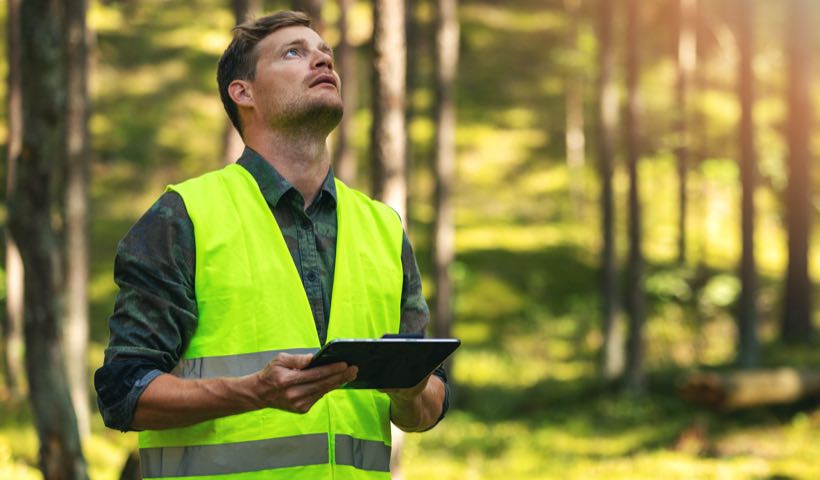 Katam Precision forestry