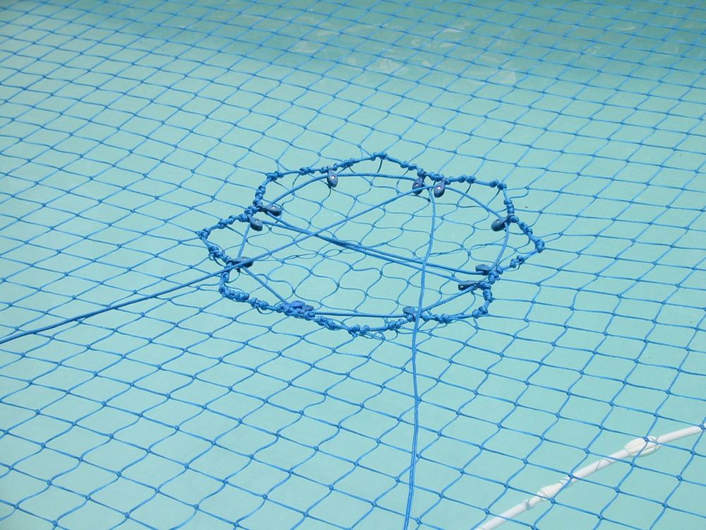 Pool Safety Fence vs. Pool Safety Net Katchakid