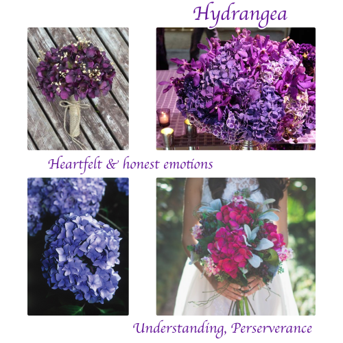 Wedding Flower meanings Kate and Co. Events