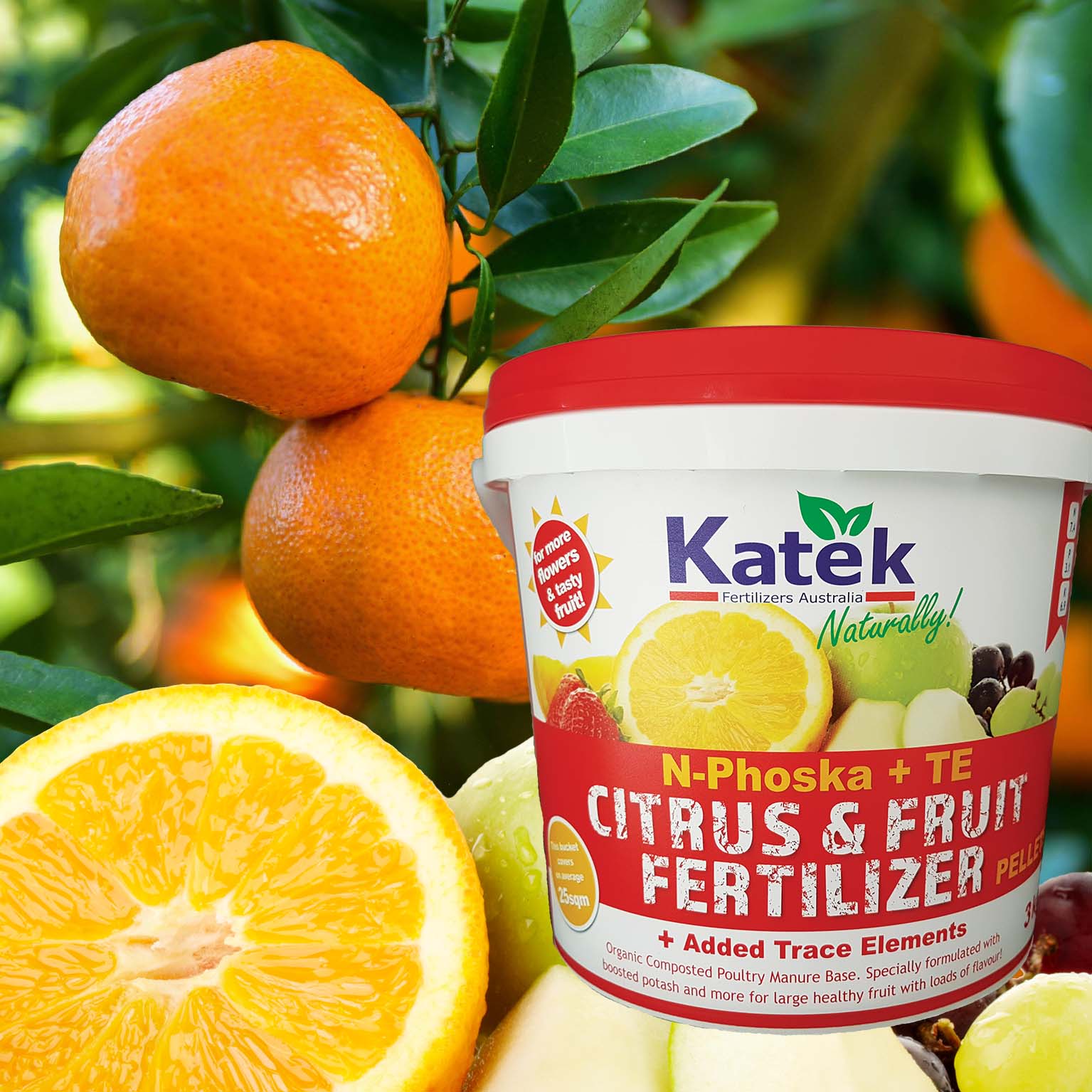 November Garden Guide 2019 Katek Fertilizers